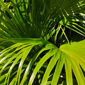 亚洲欧美日韩在线观看一区二区三区
